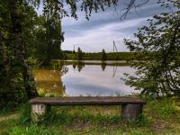 Музей-усадьба Ф. М. Достоевского «Даровое»