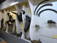 Ленинск-Кузнецкий краеведческий музей