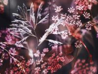 Постельное белье Capraia