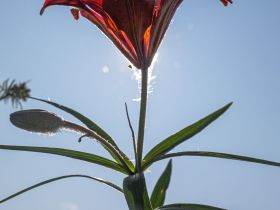 Сплав по реке Лена с посещением Ленских Столбов, тукуланов-песков Самыс Кумага и Кысыл Элэсин