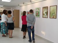 Выставочный зал г. Большой Камень