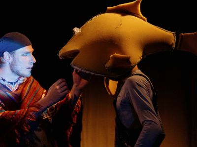 Билеты на Человек-амфибия (Учебный театр «На Моховой») / Театр | Афиша | ИнфоТаймс