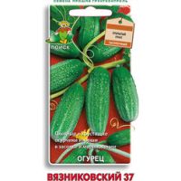 Огурец Вязниковский 37 (срок реализации до конца 2026г)
