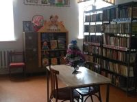 Брянская сельская библиотека