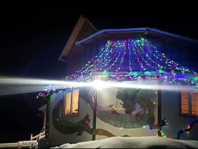 Жительница Оленька украсила свой дом изображением дракона