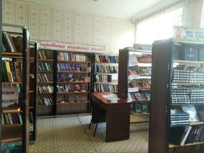 Кержемокская сельская библиотека