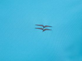 Спортивная футболка из капсулы sport