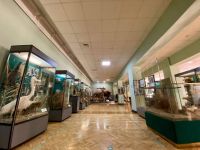 Краснодарский государственный историко-археологический музей-заповедник им. Е. Д. Фелицына