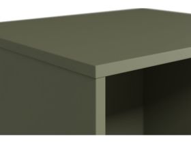Стеллаж Трейвис 48x205 Оливковый