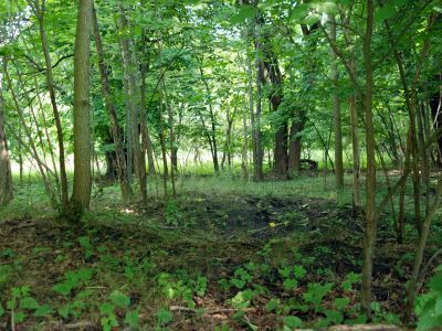 Братская могила латышских стрелков