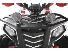 Квадроцикл RAPTOR Madman 200