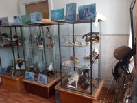 Музей краеведения с. Александров-Гай