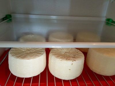 Обучение по производству сыра организовал центр «Мой бизнес» в Сунтарском районе