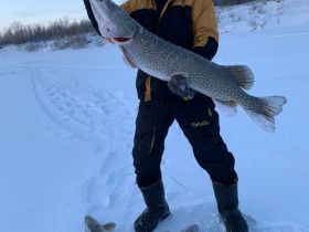 Трофейная рыбалка на реке Вилюй. Маршрут: п. Кысыл Сыр - устье р. Вилюй (до Лены)