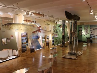 Музей Енисея