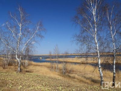 Что можно и нельзя делать 11 мая 2024 года