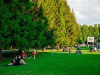 Парк Маяковского