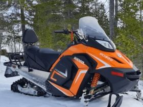 Снегоход WOIDEAL WD 300