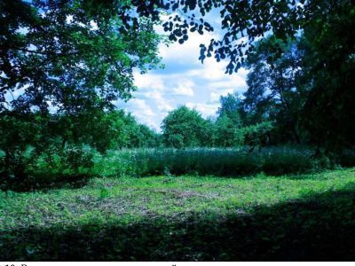 Парк, аллеи, фруктовый сад