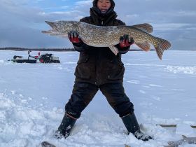 Эксклюзивная трофейная рыбалка на Вилюе: нетронутые места, гарантированный улов.