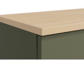 Полка Элвуд 165x36 Оливковый