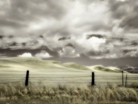 Пастель ультрамягкая "PanPastel" Желтый Перламутр