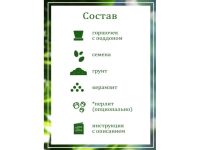 Набор подарочный для выращивания растений "Вырасти, Дерево!", "Глоксиния гибридная".