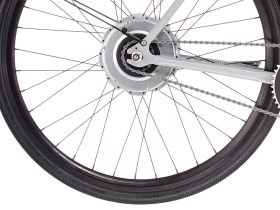 Электровелосипед Fixie Inc . Backspin Zehus, год 2024, цвет Серый, ростовка 23