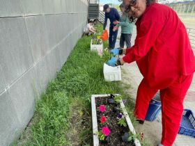 Сотрудники управления госстройжилнадзора Якутии высадили цветы в День эколога