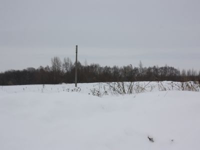 Усадебный парк поместья, где с 1882 г. по 1903 г. жил писатель Н.Г. Гарин-Михайловский