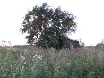 Деревянная часовня