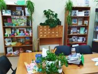 Новотроицкая сельская библиотека