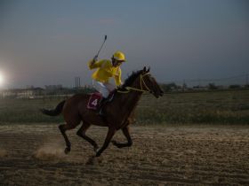 Якутский кинопродюсер спас скакуна от убоя и сделал его главной звездой фильма