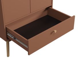 Распашной шкаф Торвалль 2-80x185 Терракотовый