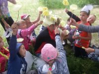 Благодарновская библиотека