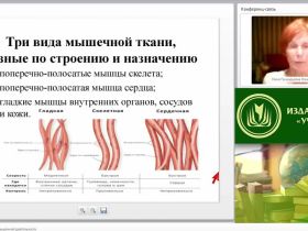 Международный вебинар "Физиология и гигиена мышечной деятельности"