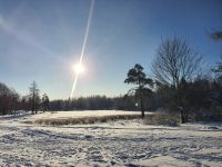 Приоратский парк