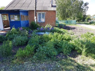 Субботинская сельская библиотека