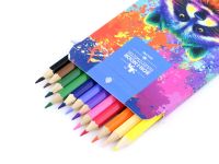 Набор карандашей цветных Koh-I-Noor "RACOON 3552" 12 цв, картон.упак. с подвесом