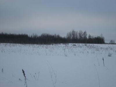 Памятное место, где был создан Дедовский партизанский  отряд, который в октябре 1942 г. вошел в состав бригады им. Пархоменко
