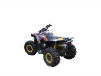Квадроцикл BRP Renegade 800 XXC
