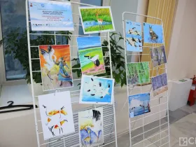 Восстановление стерха: Якутия подводит итоги года