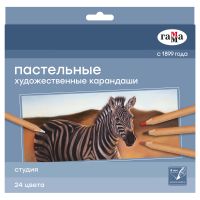 Набор карандашей пастельные Гамма "Студия", 24 цв.