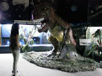 Музей природы Бурятии