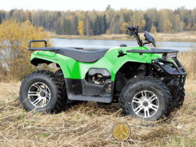 Квадроцикл IRBIS ATV 150