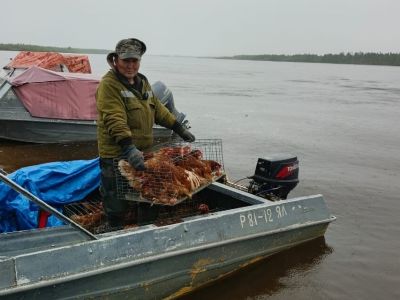 Жителям Томпонского района Якутии доставили кур-несушек