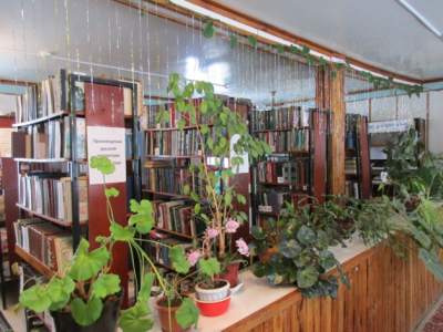 Библиотека п. Рязанские Сады