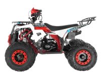 Квадроцикл WELS Thunder Evo X ST
