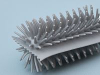 Ершик для бутылок Segariu