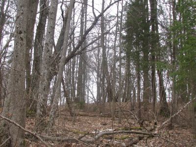 Усадьба Фок, где находился первый музей А.С.Пушкина